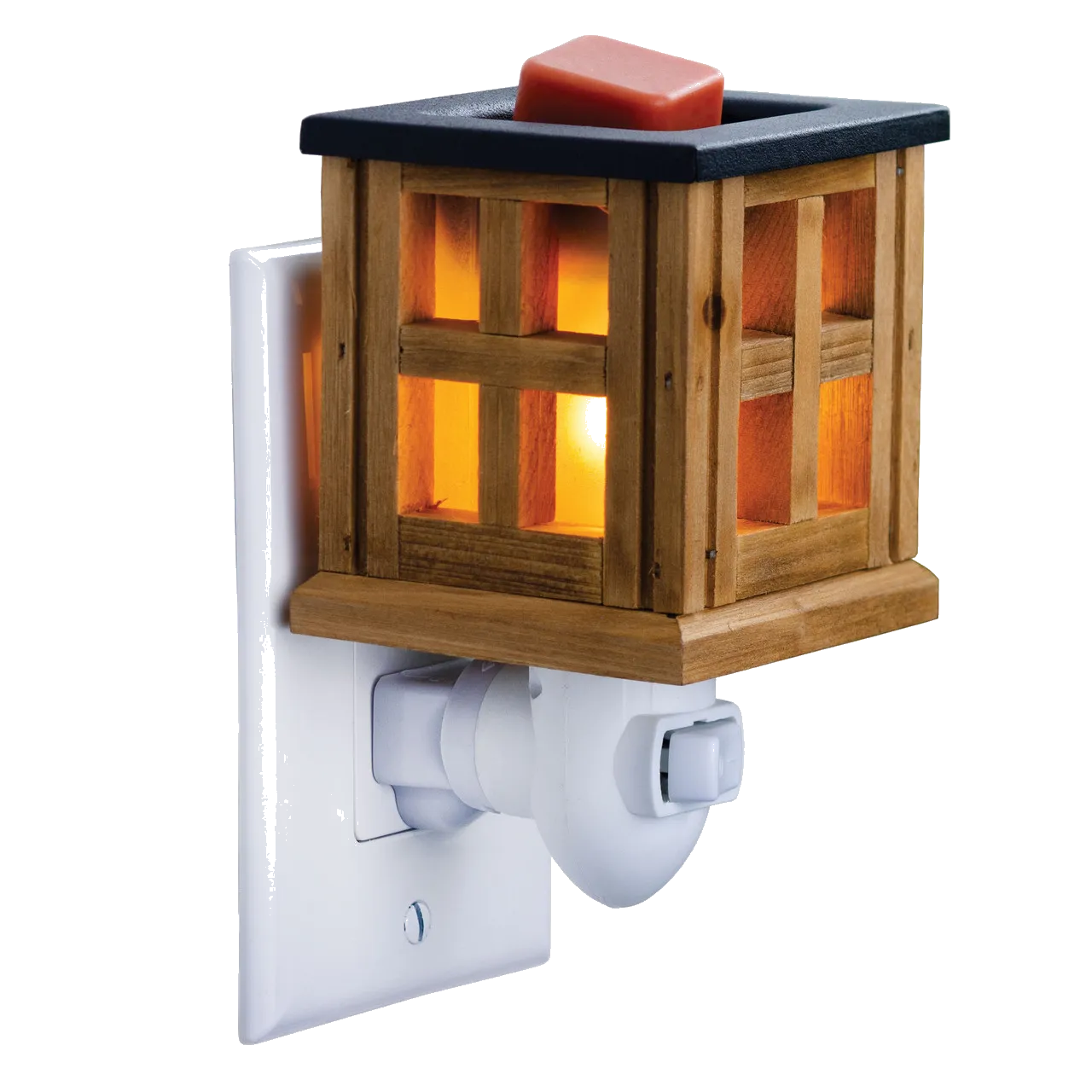 Plug In Warmer