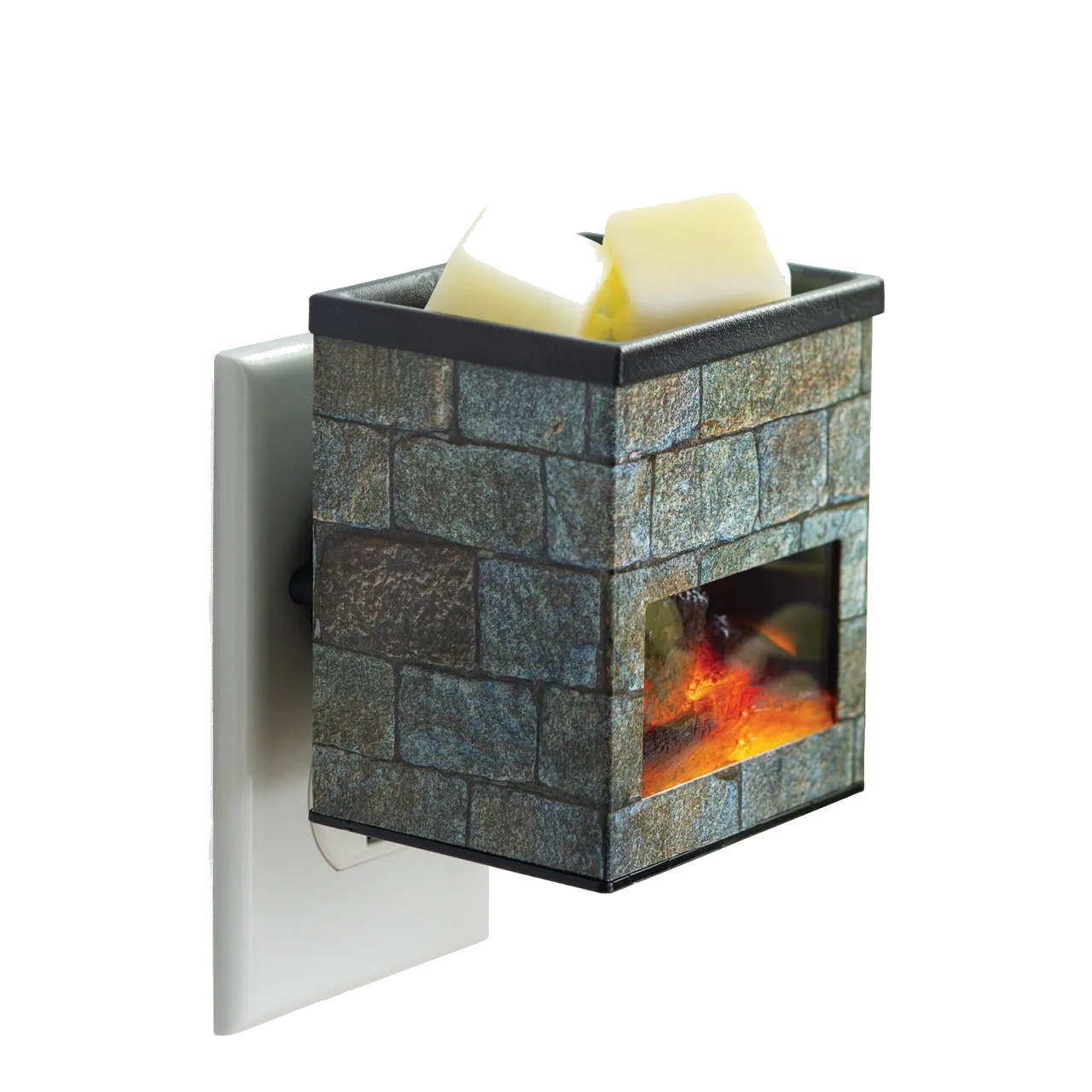 Plug In Warmer