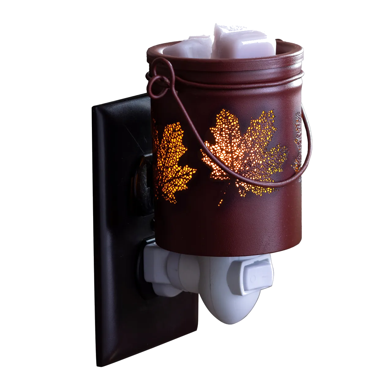 Plug In Warmer
