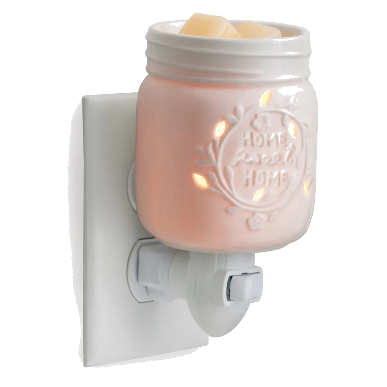 Plug In Warmer